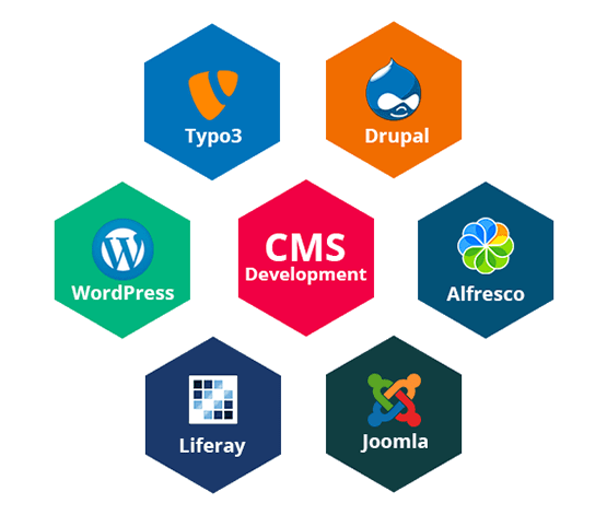 web development - finvachi technologies